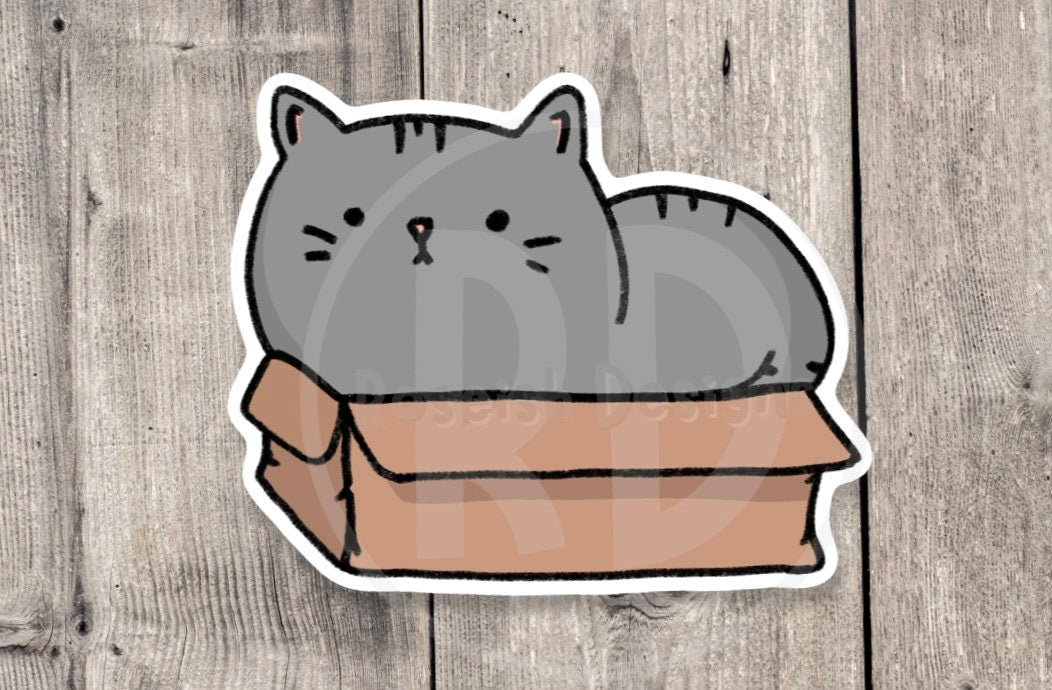 Cat in box sticker, funny animal sticker, cat lover, fat cat, water bottle sticker, laptop