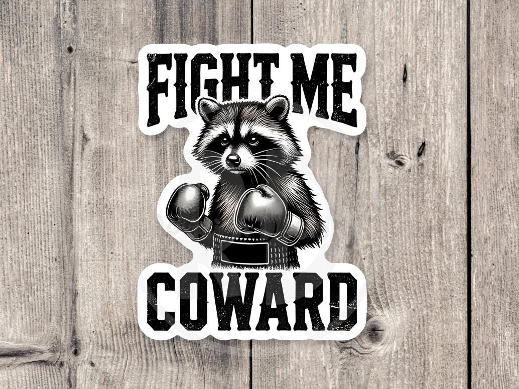 Fight me sticker, funny raccoon water bottle sticker, laptop sticker, offensive gifts, funny animal stickers, adult humor, boxing