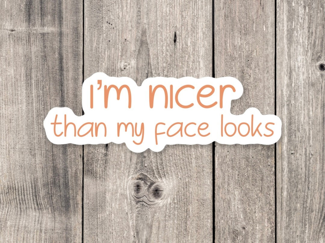 I'm Nicer Than My Face Looks - Vinyl Sticker