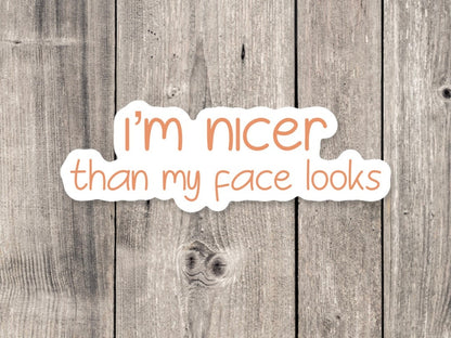 I'm Nicer Than My Face Looks - Vinyl Sticker