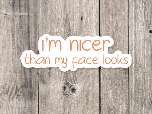 I'm Nicer Than My Face Looks - Vinyl Sticker