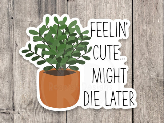 Feelin' cute, might die later, funny plant sayings, plant mom gift, water bottle sticker, houseplant, plant dad, floral