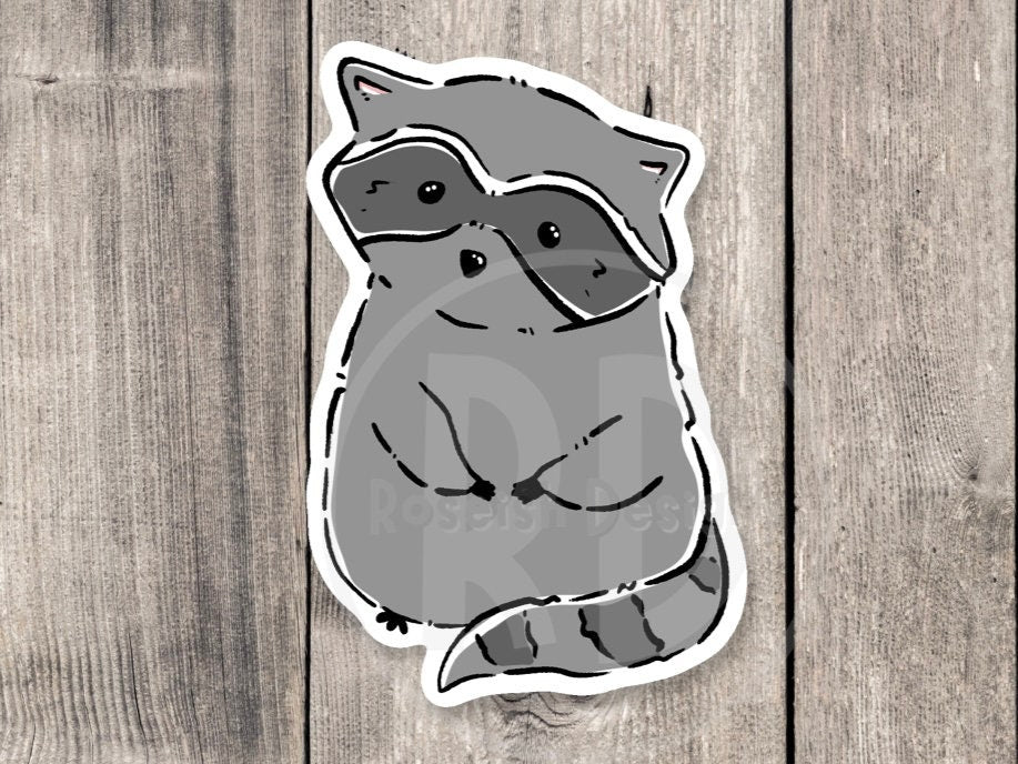 Cute Raccoon - Vinyl Sticker
