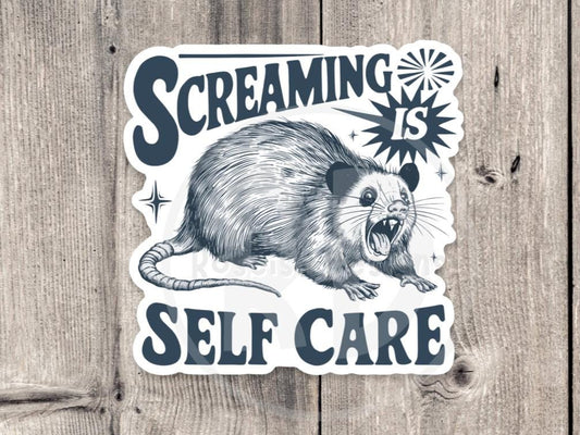 Screaming is Self Care, Funny Possum Sticker, Animal Water Bottle Stickers, Mental Health Quotes, Humor