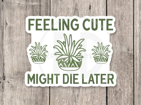 Feeling cute, might die later, funny plant sticker, plant lover gift, antisocial water bottle sticker, gardening, cute houseplant