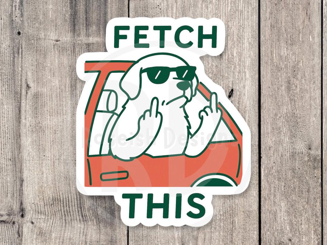 Fetch This, funny dog water bottle sticker, dog mom gifts, dog lovers, laptop sticker, pet owner, adult humor, offensive sticker
