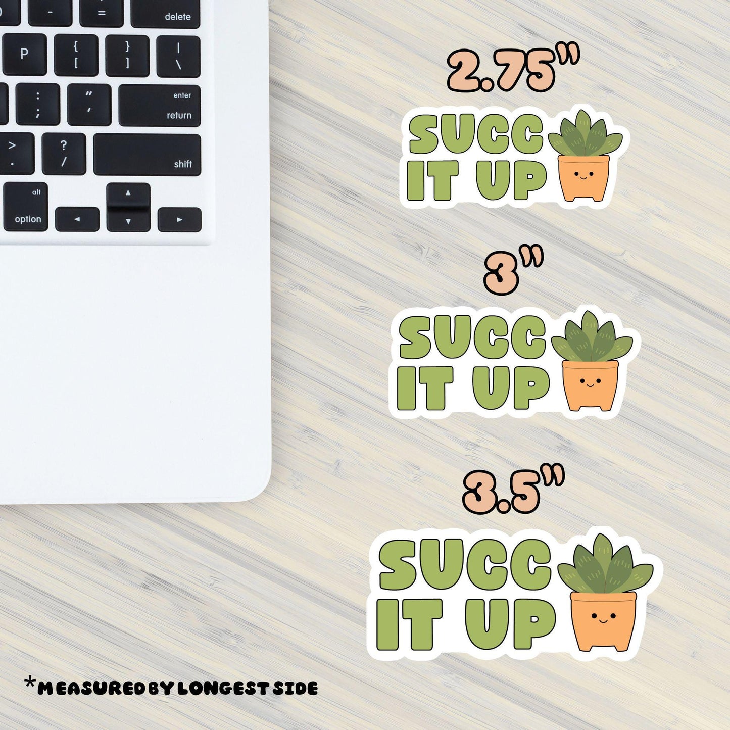 Succ It Up Sticker – Funny Plant Lover Gift, Succulent Pun Sticker for Water Bottle